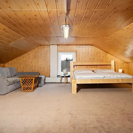 Na Samote U Trate 度假居 Trebcice